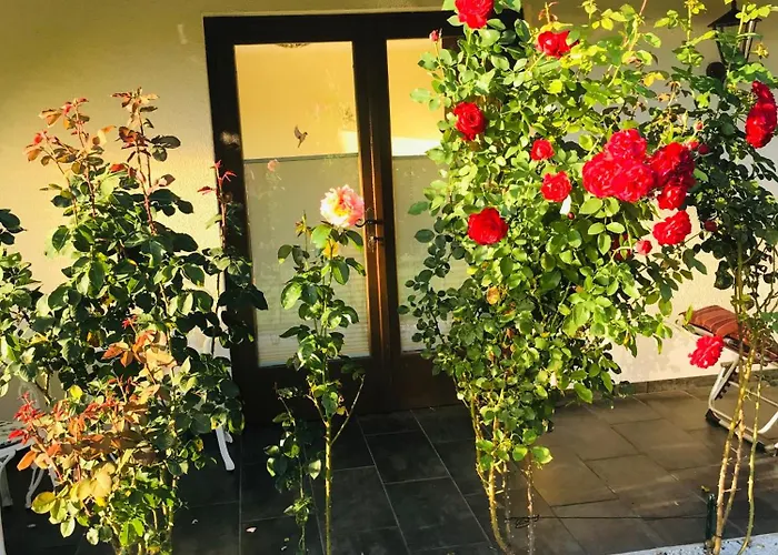 Am Golfplatz Lägenhet