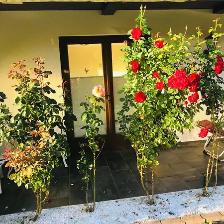 Am Golfplatz Apartment